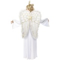 Costume of Angel Queen