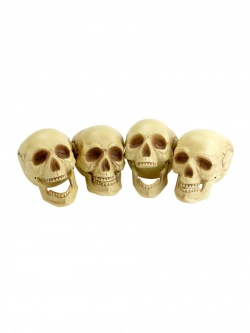 Skull Heads