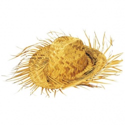 Hawaiian straw hat