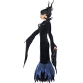 Lady Raven Costume Deluxe