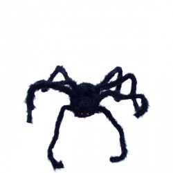 Black Spider