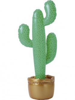 Cactus Green and Brown