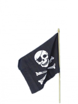 Pirate Flag Black and White on Stick
