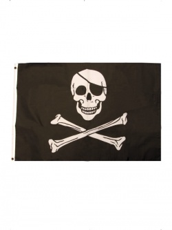 Pirate Flag Black and White with Skull and Crossbones
