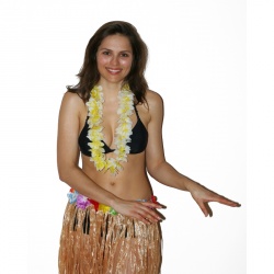 Hawaiian Lei Honolulu Basic - Yellow