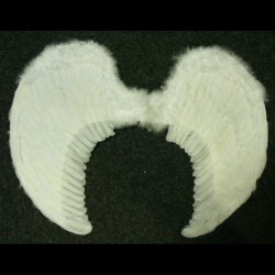 White Angel Wings-Large