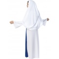 Saint Mary Costume