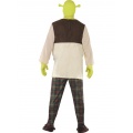 Costume of Shrek